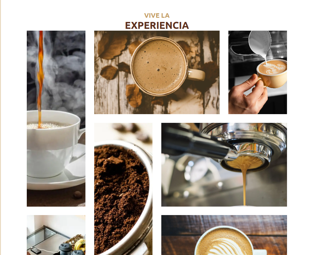 Tailwind css gallery template